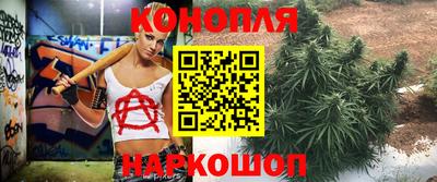 ешки Гатчина