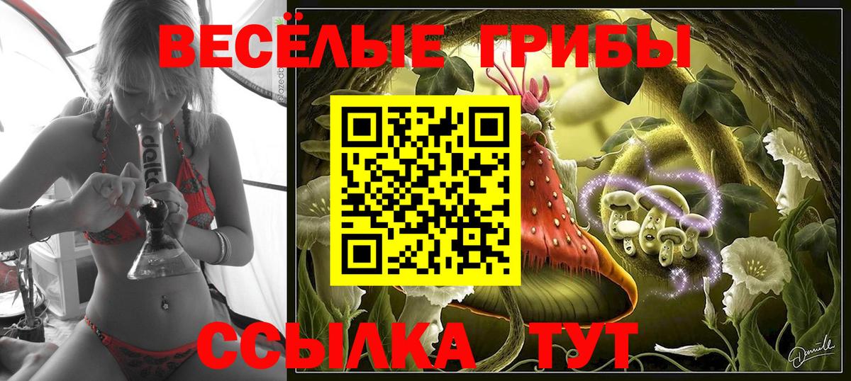 Галлюциногенные грибы Psilocybine cubensis Воткинск