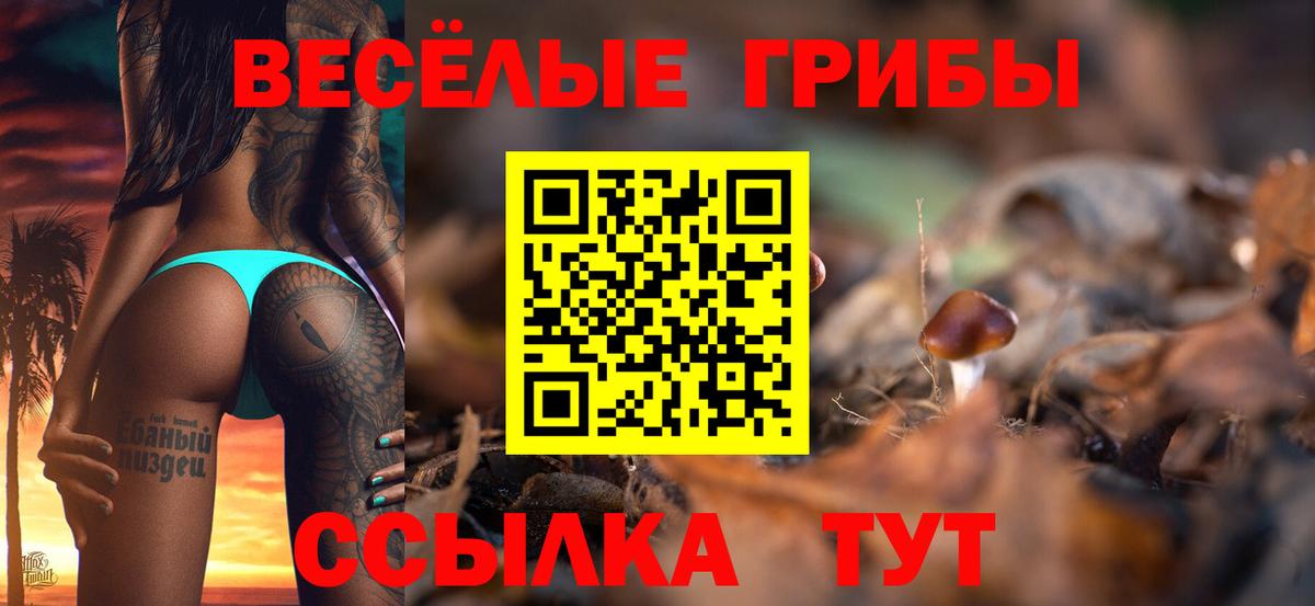 купить наркотик  Галлюциногенные грибы Psilocybine cubensis  Воткинск  Псилоцибиновые грибы прущие грибы 