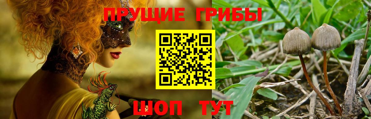 Воткинск  Галлюциногенные грибы ЛСД  Вход с VPN 